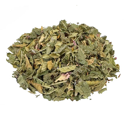 Kräutertee Schöne Träume Bio. Der Bio Kräutertee hat eine grüne Farbe. Die Zutaten sind gut zu erkennen. Es sieht sehr lecker aus.